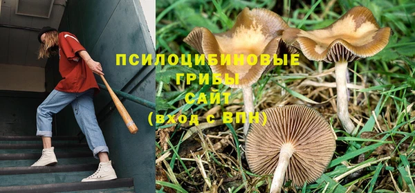 a pvp Бронницы