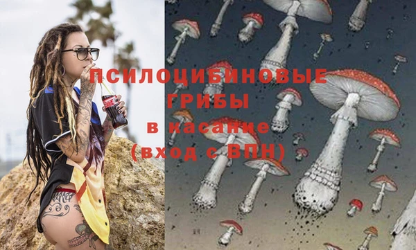 мескалин Бородино