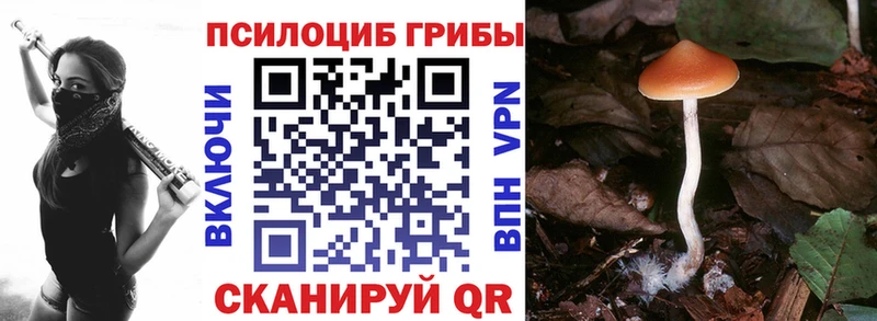 Галлюциногенные грибы Psilocybine cubensis Купить где Беслан